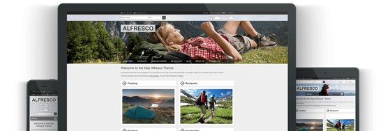Picture of ALFRESCO E-COMMERCE PACKAGE