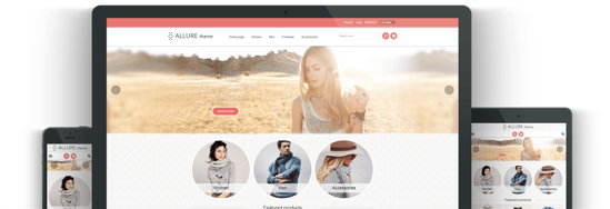 Picture of ALLURE E-COMMERCE PACKAGE
