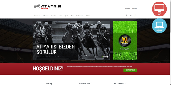 Picture of HORSE RACING WEBSITE