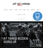 Picture of HORSE RACING WEBSITE