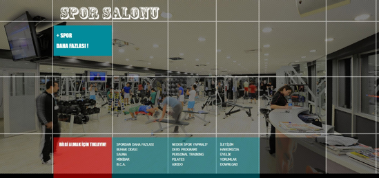 SPOR SALONU SİTESİ resmi