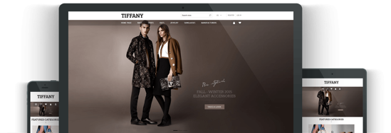 Picture of TIFFANY E-COMMERCE PACKAGE