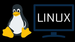 Linux Hosting kategorisi için resim